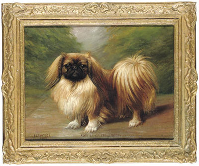 Kwe Li of Inglenook, a Pekingese