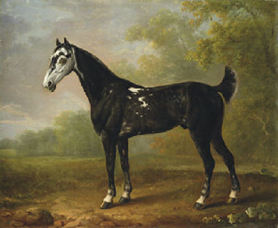 Nimrod aged seven, in a wooded landscape