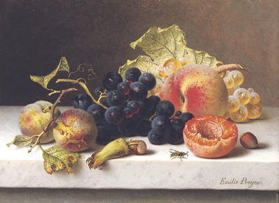 Grapes, peaches and plums on a marble ledge by Emilie Preyer - Auction record, sale price, and art valuation. Compare with similar artists and explore comparable artworks.