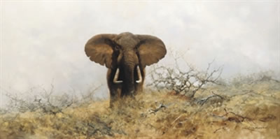 Lone bull elephant by David (Richard David) Shepherd - Auction record, sale price, and art valuation. Compare with similar artists and explore comparable artworks.