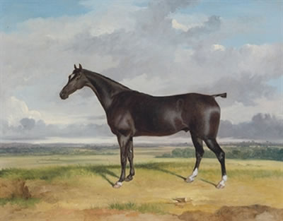 A hunter in an extensive landscape