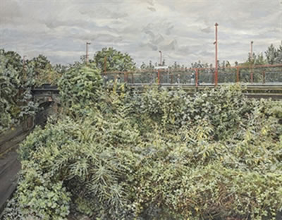 Railway Embankment-Summer