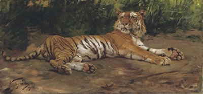 A reclining tiger