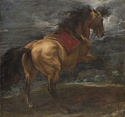 A rearing stallion