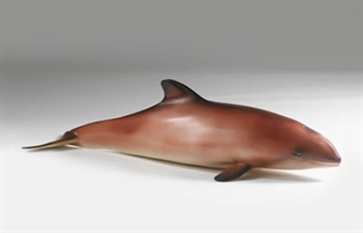 Red Baby Whale by Carsten Holler - Auction record, sale price, and art valuation. Compare with similar artists and explore comparable artworks.
