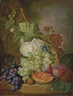 Flowers, grapes, plums, walnuts and a melon on a stone ledge