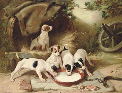 Puppies' breakfast