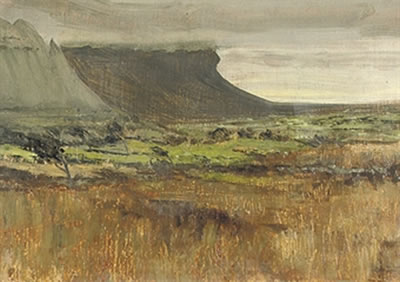 Sligo Bog