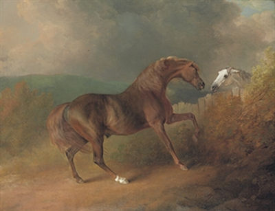 Colonel Thornton's Jupiter, by Eclipse out of a mare by Tartar, by a fence, with a grey mare, at Thornville Royal