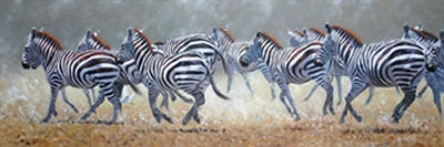 Serengeti Thunder