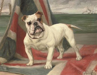 What we have we hold; a portrait of Dimboola the Champion bulldog