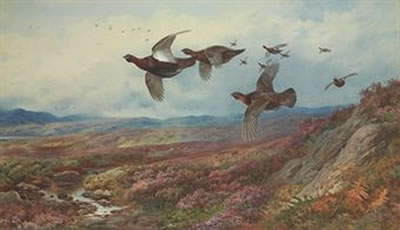 Grouse in flight by Archibald Thorburn - Auction record, sale price, and art valuation. Compare with similar artists and explore comparable artworks.