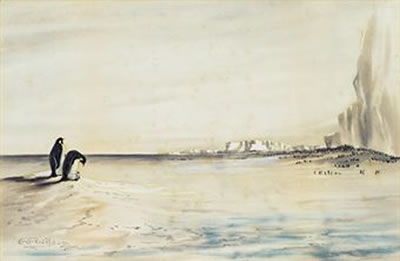 The Emperor Penguin Rookery, Cape Crozier