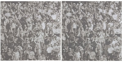 Cheering Crowd