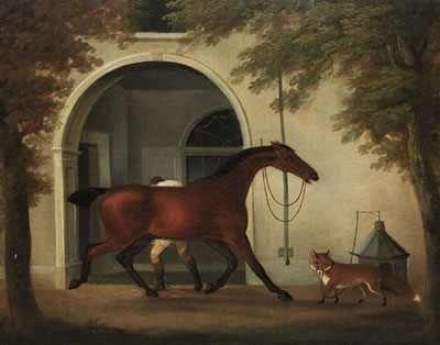 A groom rubbing down a hunter outside a stable, with a fox nearby