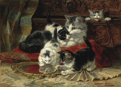 Mother and kittens playing with a hand mirror
