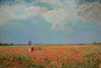 Flowers of the Field