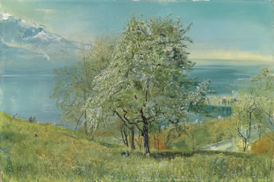 Lake of Geneva: looking West near Territet