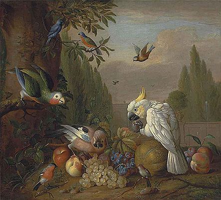 A cockatoo, a parrot, a jay and other birds