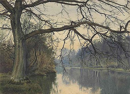 A great tree on a riverbank