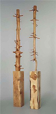 ALBERO DI 7 METRI