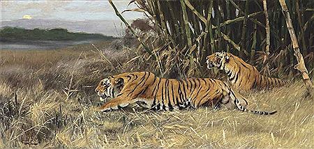 Two Stalking Tigers by Friedrich Wilhelm Lion Kuhnert - Auction record, sale price, and art valuation. Compare with similar artists and explore comparable artworks.