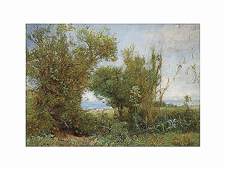 The Grass of the Field