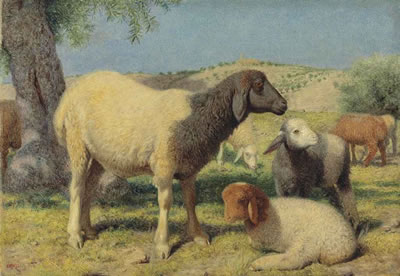 Sheep on Mount Zion by William James Webbe - Auction record, sale price, and art valuation. Compare with similar artists and explore comparable artworks.