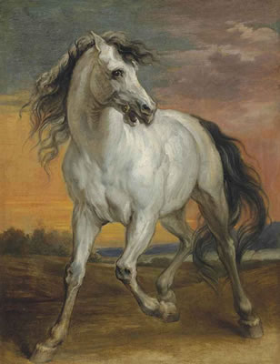 A GREY STALLION IN A LANDSCAPE