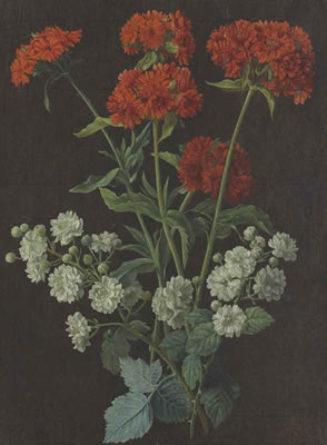 Still life with a spray of red verbena and white roses by Alexis Nicolas Perignon I - Auction record, sale price, and art valuation. Compare with similar artists and explore comparable artworks.