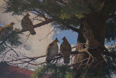 Five Grouse