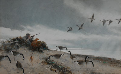 Canada Goose Shooting