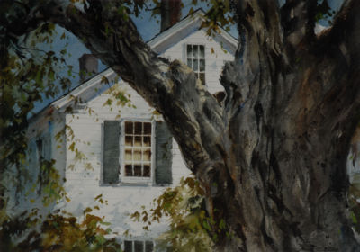 White House and Tree