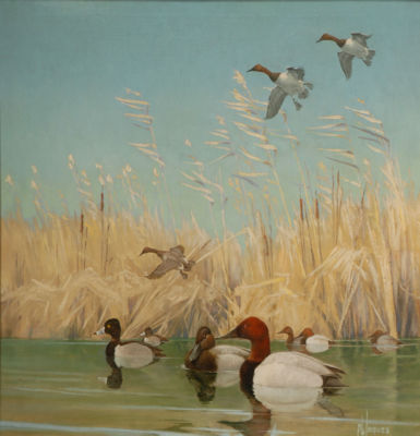 Coastal Marshes