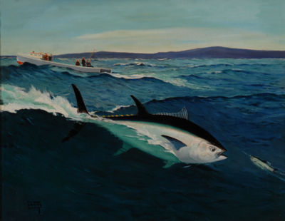 Blue-Fin Tuna