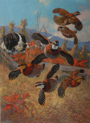 Bobwhite Covey by Lynn Bogue Hunt - Auction record, sale price, and art valuation. Compare with similar artists and explore comparable artworks.