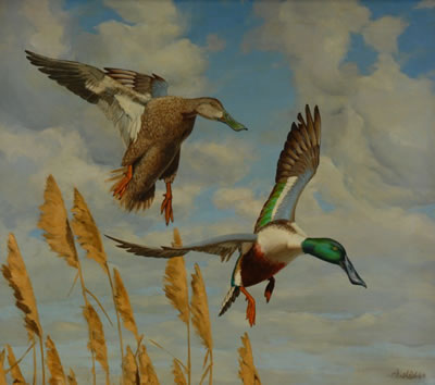 SHOVELERS LANDING
