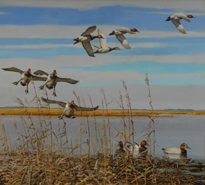 CANVASBACKS