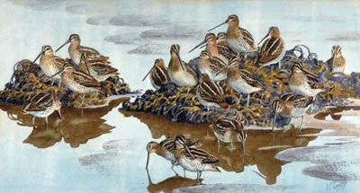 SNIPE AT LOW WATER