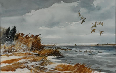 SHOOTING PINTAILS