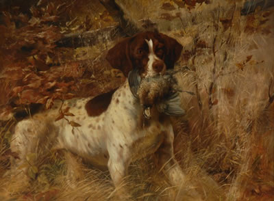 POINTER WITH QUAIL