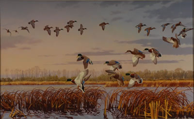 MALLARDS AT DUSK