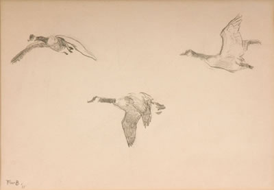 Geese in Flight