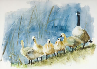 Goose and Goslings