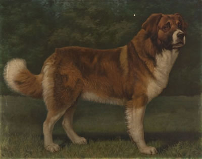 St. Bernard