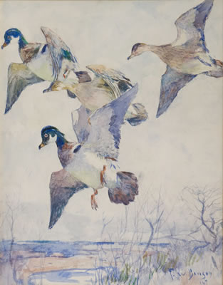 Wood Ducks, 1937