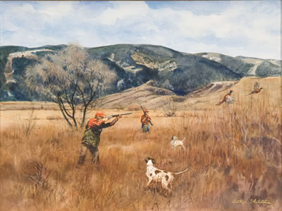 Pheasant Shooting in the Big Horn Mountains AND Study (2)