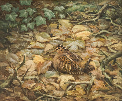 November Woodcock,1976 by William Hollywood - Auction record, sale price, and art valuation. Compare with similar artists and explore comparable artworks.