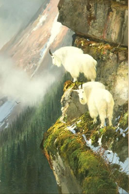 In The Cliffs