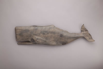 Large Sperm Whale